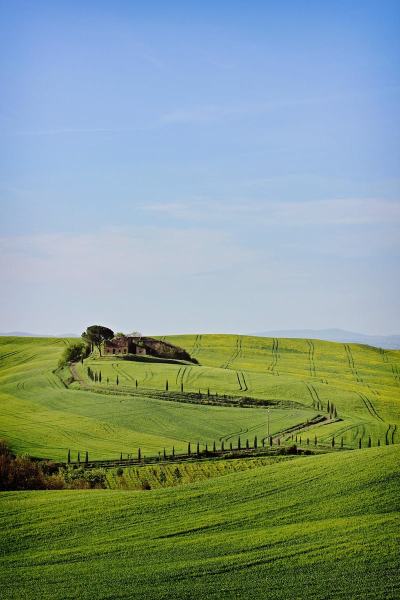 Tuscany Landscape